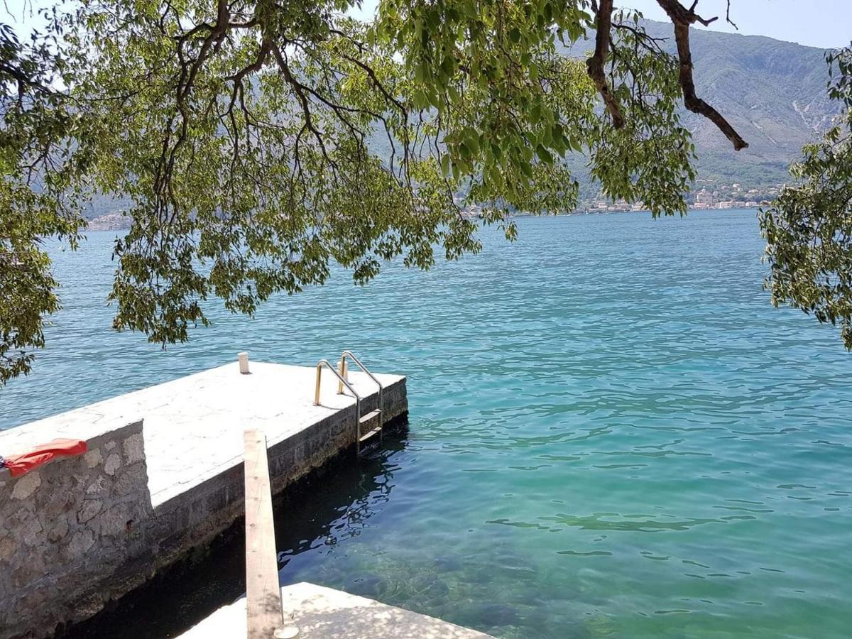 Montenegro Apartments - Private Beach Kotor Luaran gambar