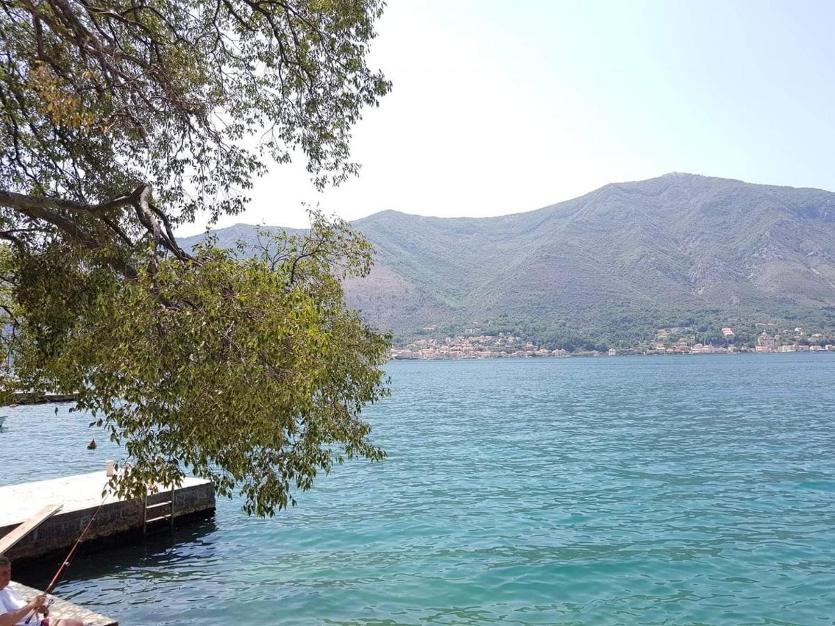 Montenegro Apartments - Private Beach Kotor Luaran gambar